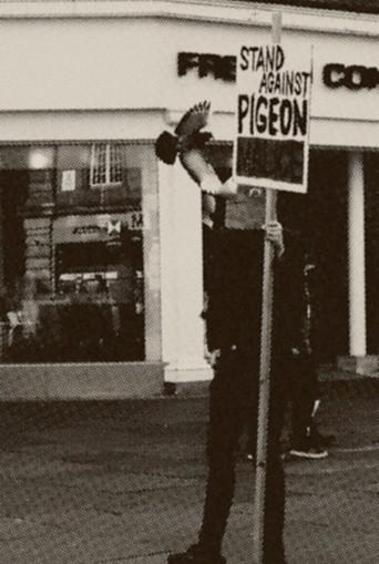 Pigeon Mafia Takes out the Trash (2023) poster