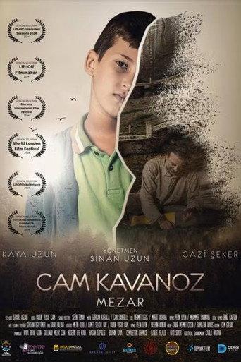 Cam Kavanoz () poster