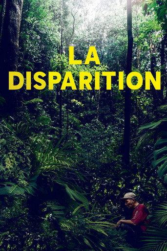 The Disappearance (2021) poster