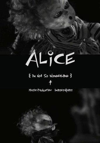 Alice in Not So Wonderland (2007) poster