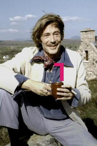 Peter O'Toole Réalta & Rógaire (2021) poster