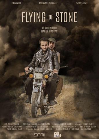 Flying of Stone (2017) poster