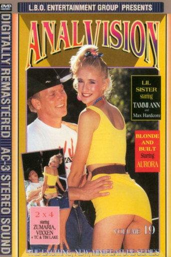 Anal Vision 19 (1994) poster