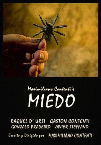 Fear (2001) poster