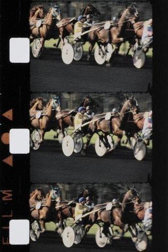 Chevaux couleur (1988) poster