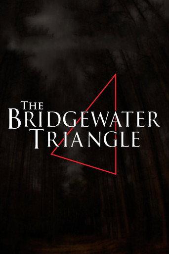 The Bridgewater Triangle (2013) poster