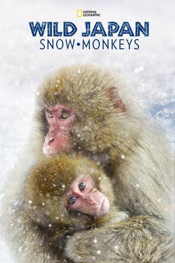 Wild Japan: Snow Monkeys (2014) poster