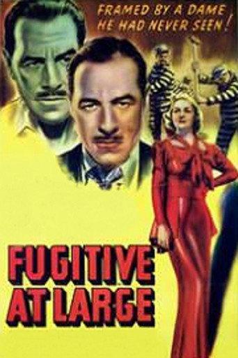 Fugitive at Large (1939) poster