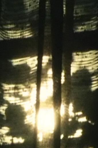 Canvas (Short Version) (1995) poster