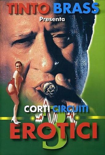 Erotic Short Circuits Vol.3 (1998) poster