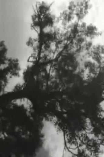 Clouds (2002) poster