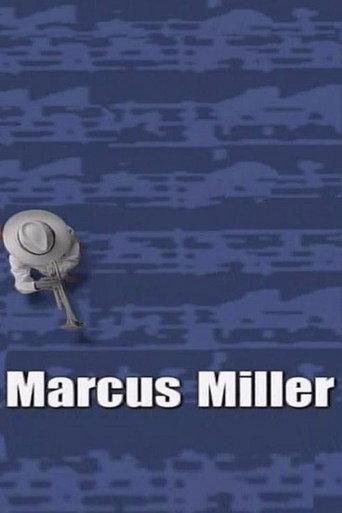 Marcus Miller - AVO Session (2003) poster