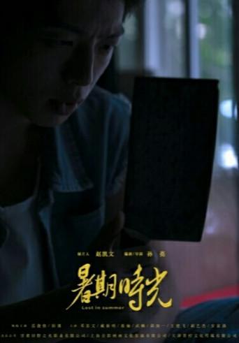 Lost in Summer (2021) poster