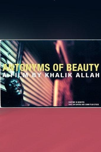 Antonyms of Beauty (2013) poster