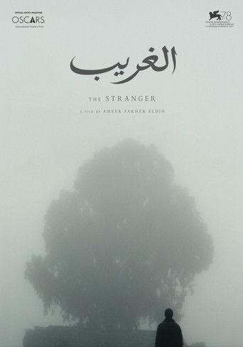 The Stranger (2021) poster