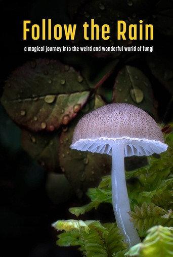 Follow the Rain (2024) poster