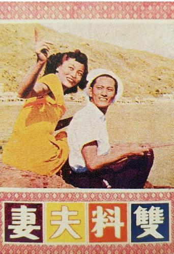 双料夫妻 (1951) poster