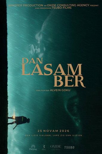 Ber's Room () poster