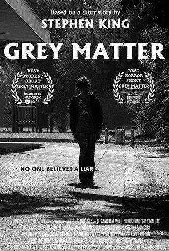 Grey Matter (2012) poster