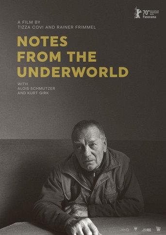 Notes from the Underworld (2020) poster