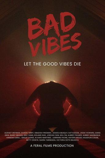 Bad Vibes () poster