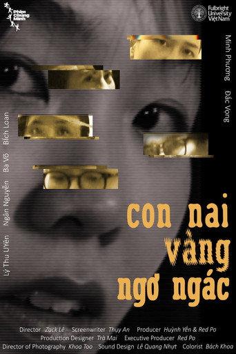 In The Eyes Of The Bewildered Deer () poster