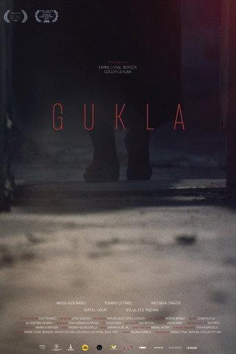 The Doll (2024) poster