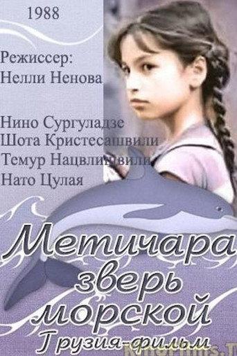 Metichara (1988) poster