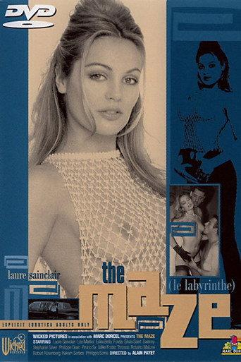 The Maze (1997) poster