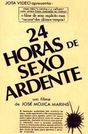 24 Hours of Explicit Sex (1985) poster