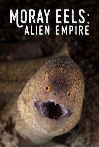 Moray Eels: Alien Empire (2008) poster
