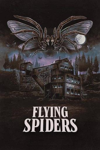 Flying Spiders () poster