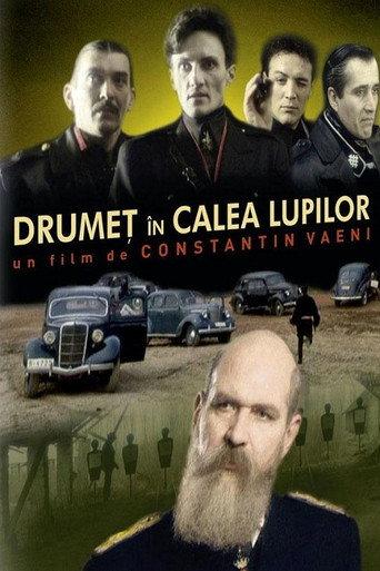 Drumeț în calea lupilor (1990) poster