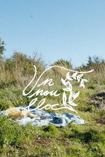 Un Nou Lloc () poster