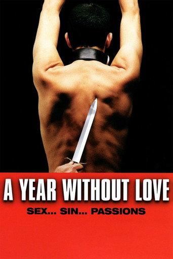 A Year Without Love (2005) poster