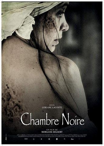 The Dark Room (2017) poster