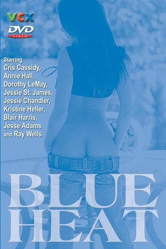 Blue Heat (1978) poster