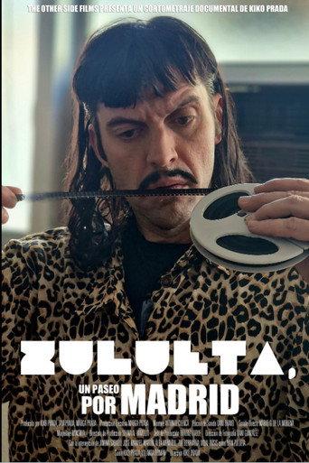 Zulueta, un paseo por Madrid (2024) poster