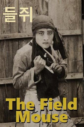 Field Mouse (1927) poster