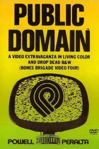 Public Domain: Bones Brigade Video IV (1988) poster