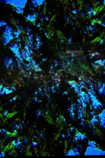 A Film Containing Trees (2018) poster