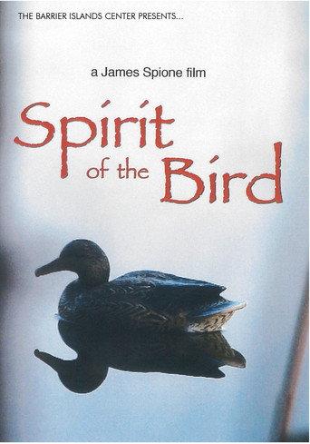 Spirit of the Bird (2012) poster