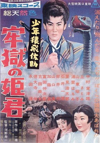 少年猿飛佐助 牢獄の姫君 (1958) poster
