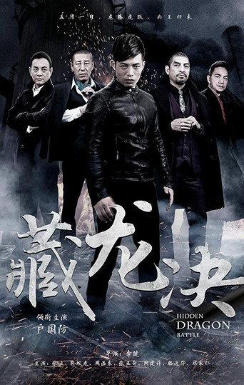 Hidden Dragon Battle (2017) poster