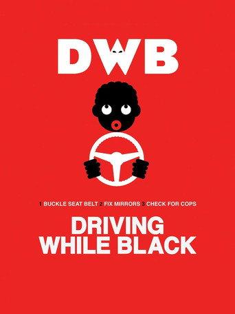 Driving While Black (2015) poster