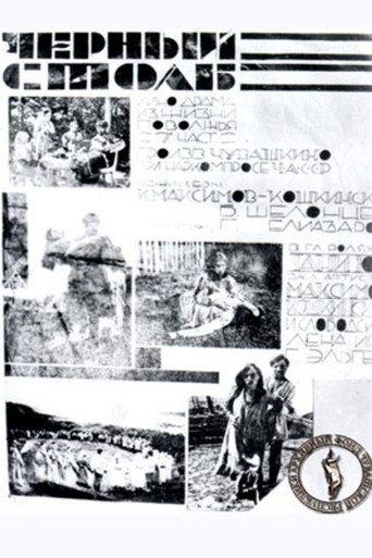 Black Pillar (1928) poster