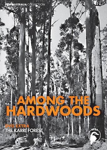 Among the Hardwoods (1936) poster