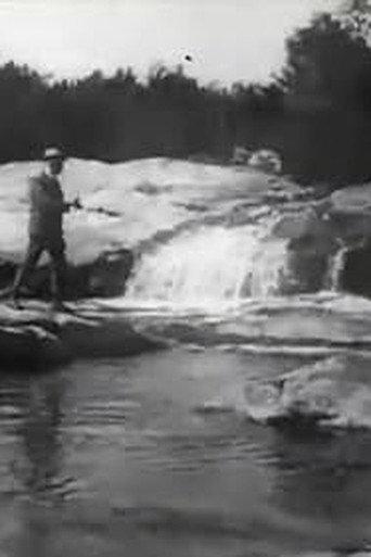 Brook Trout Fishing (1900) poster