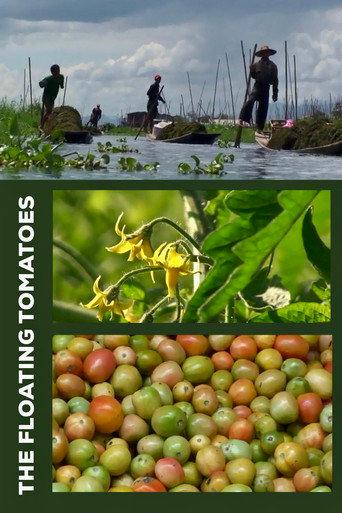 The Floating Tomatoes (2010) poster