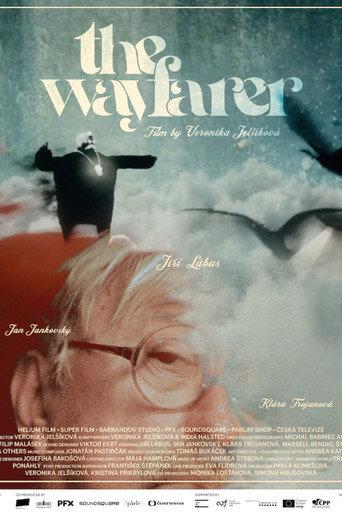 The Wayfarer (2025) poster